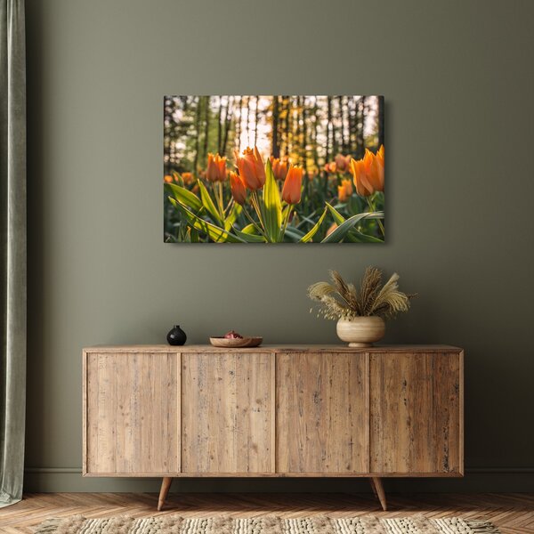 Obraz - kvety tulipánov (90x60 cm)