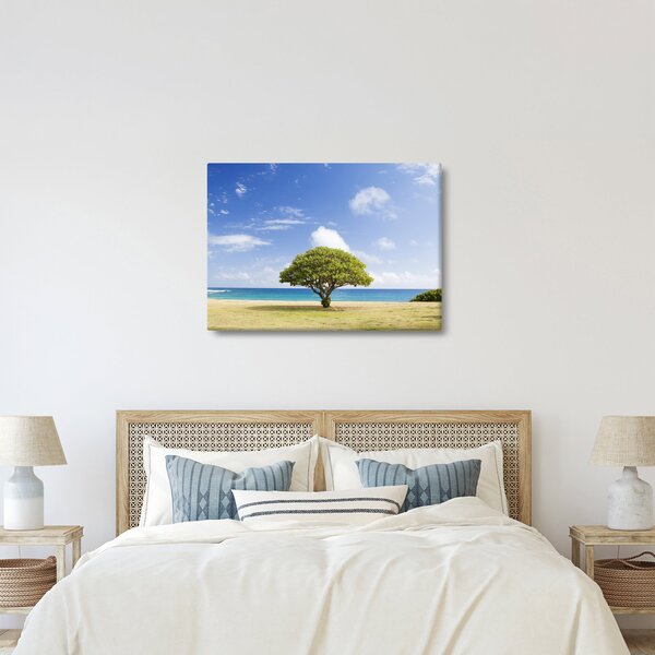 Obraz pláže so stromom (70x50 cm)