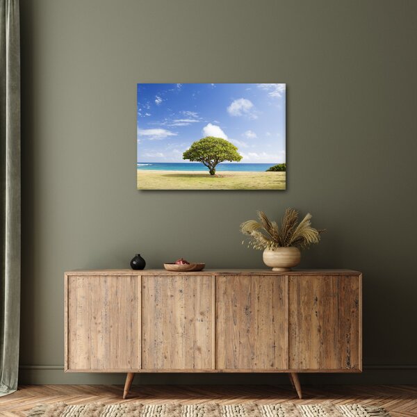 Obraz pláže so stromom (70x50 cm)
