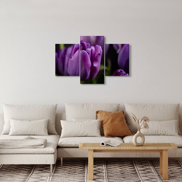 Obraz kvetov tulipánov (90x60 cm)