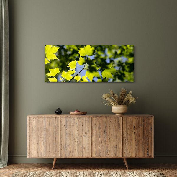 Obraz - javorové listy (120x50 cm)