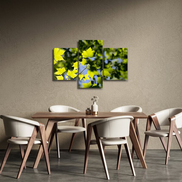 Obraz - javorové listy (90x60 cm)