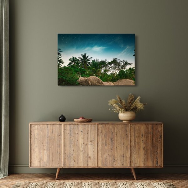 Obraz - palmy (90x60 cm)