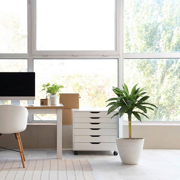 UMELÁ RASTLINA dracena MID.YOU - Kvety & kvetináče, Online Only