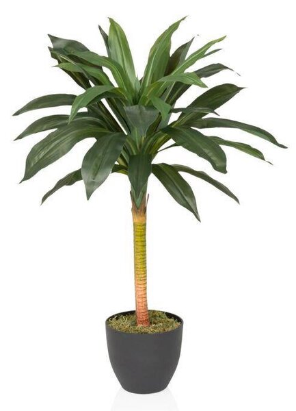 UMELÁ RASTLINA dracena MID.YOU - Kvety & kvetináče, Online Only