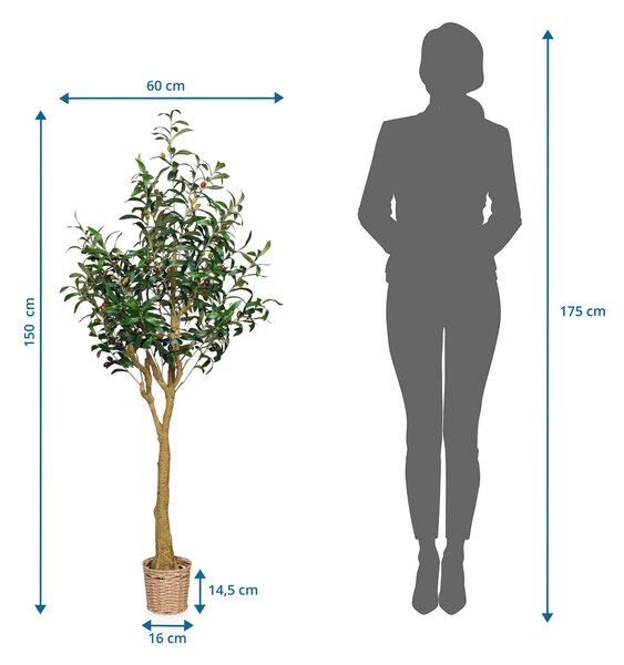 UMELÁ RASTLINA oliva MID.YOU - Kvety & kvetináče, Online Only