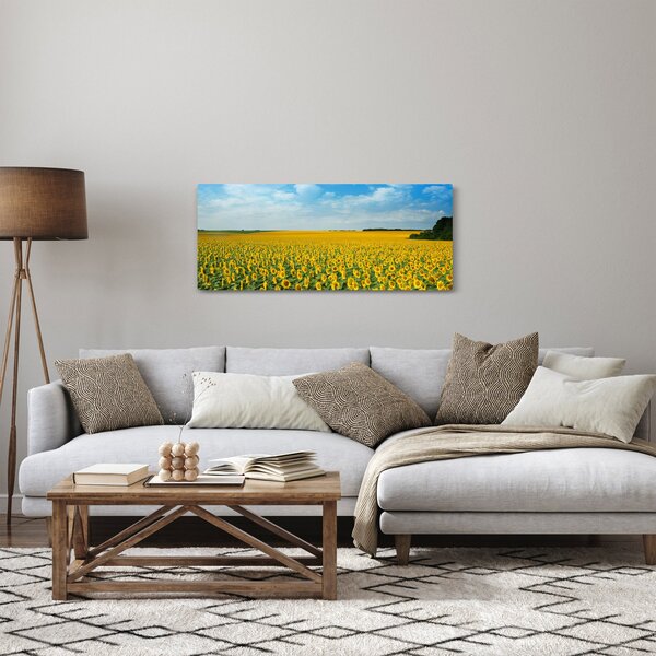 Obraz - pás slnečníc (120x50 cm)