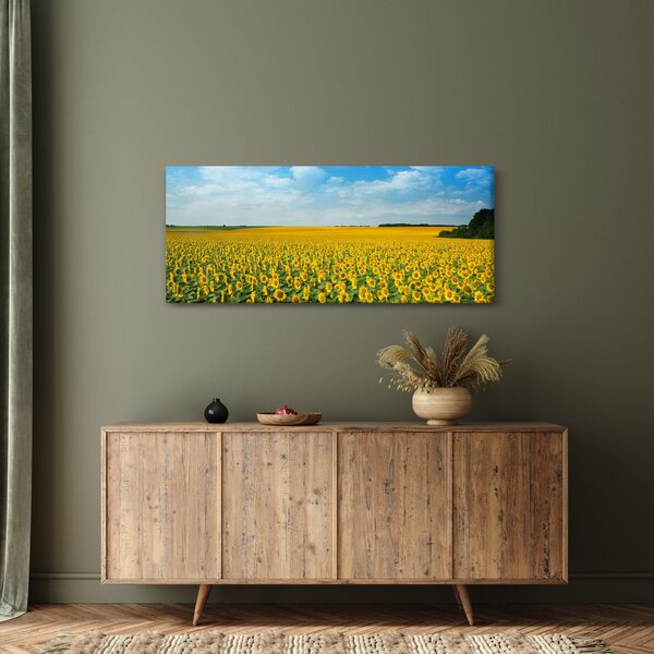 Obraz - pás slnečníc (120x50 cm)
