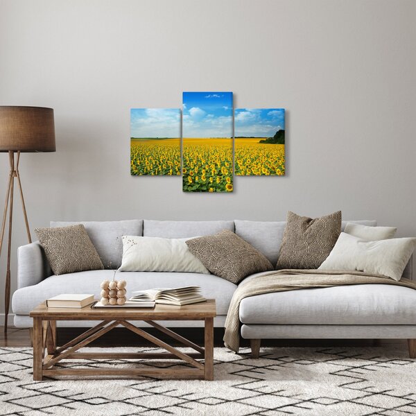 Obraz - pás slnečníc (90x60 cm)