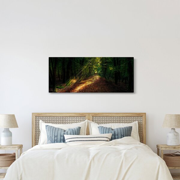 Obraz lesnej cesty (120x50 cm)