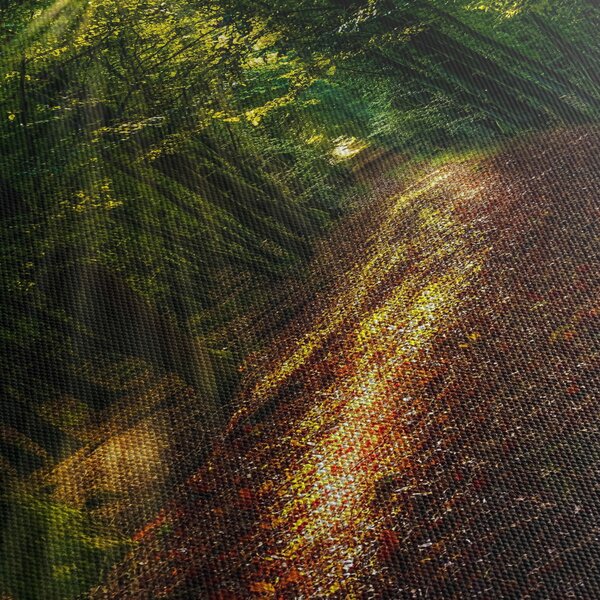Obraz lesnej cesty (150x105 cm)