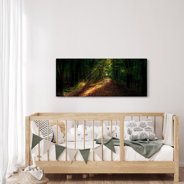 Obraz lesnej cesty (120x50 cm)