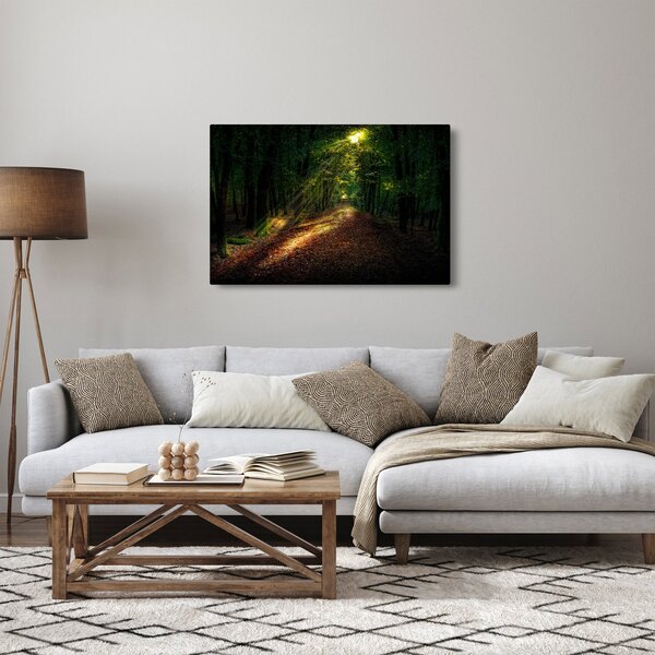 Obraz lesnej cesty (90x60 cm)