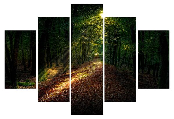 Obraz lesnej cesty (150x105 cm)