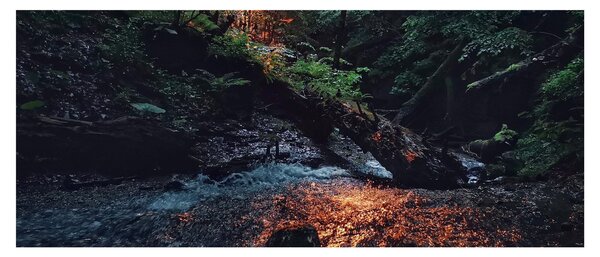 Obraz horskej riečky (120x50 cm)