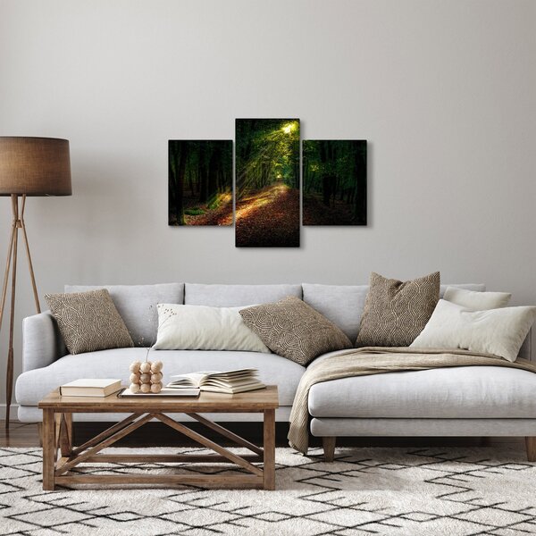 Obraz lesnej cesty (90x60 cm)