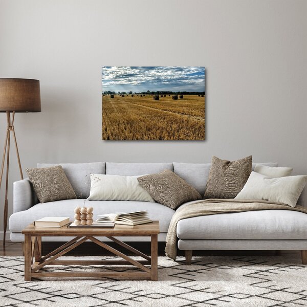 Obraz zozbieraného obilného poľa (70x50 cm)