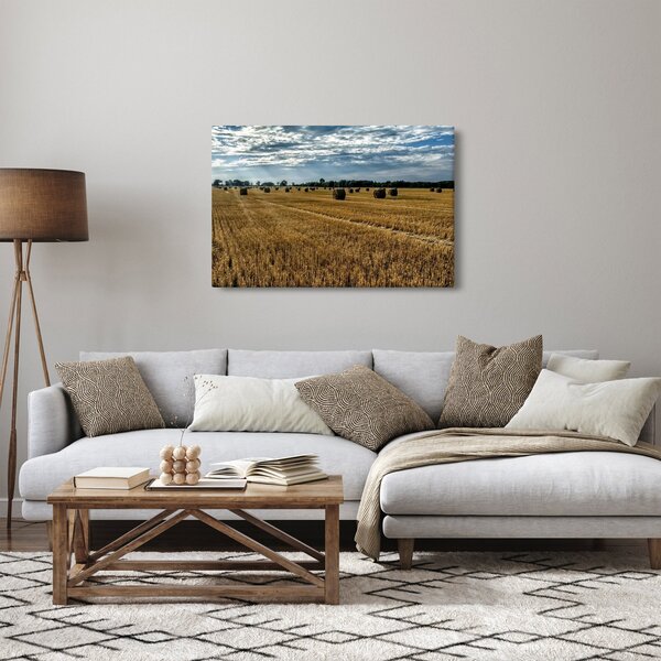 Obraz zozbieraného obilného poľa (90x60 cm)