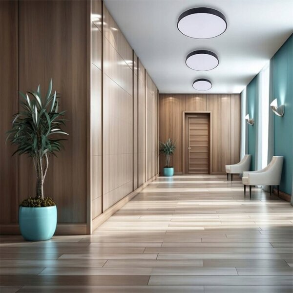 LED Stmievateľné stropné svietidlo LED/30W/230V 3000-6500K pr. 30 cm čierna + DO