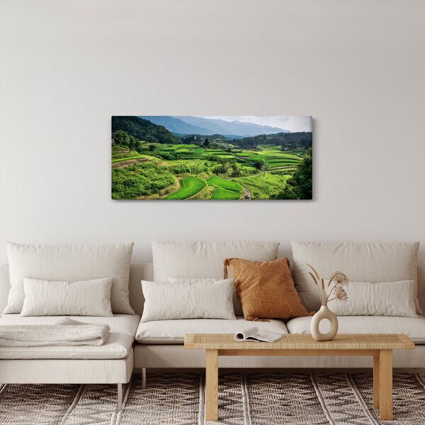 Obraz ryžových polí (120x50 cm)