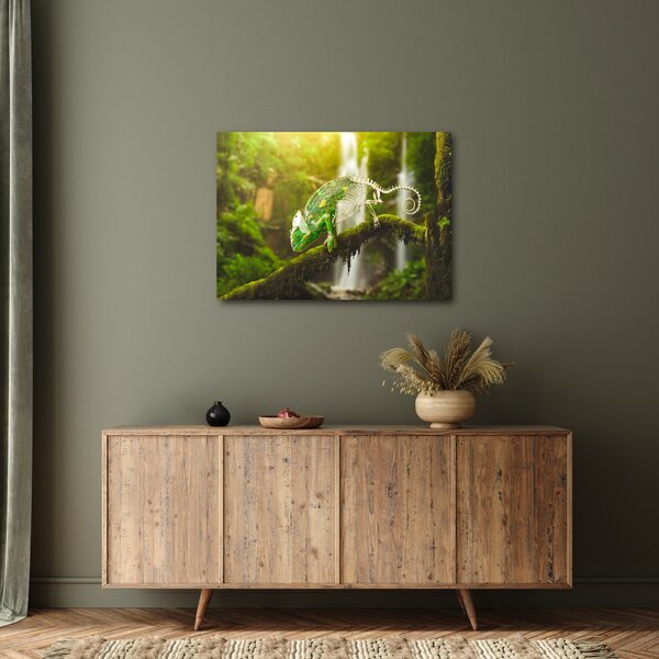 Obraz chameleóna (70x50 cm)