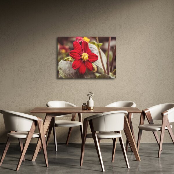 Obraz kvetiny (70x50 cm)