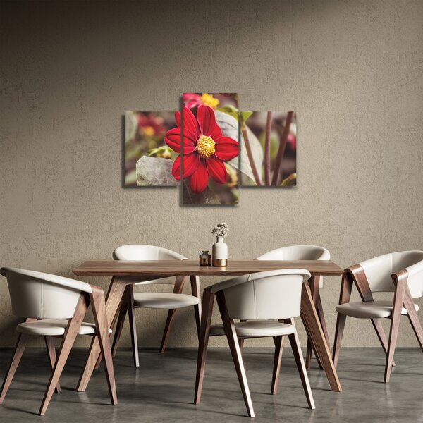 Obraz kvetiny (90x60 cm)