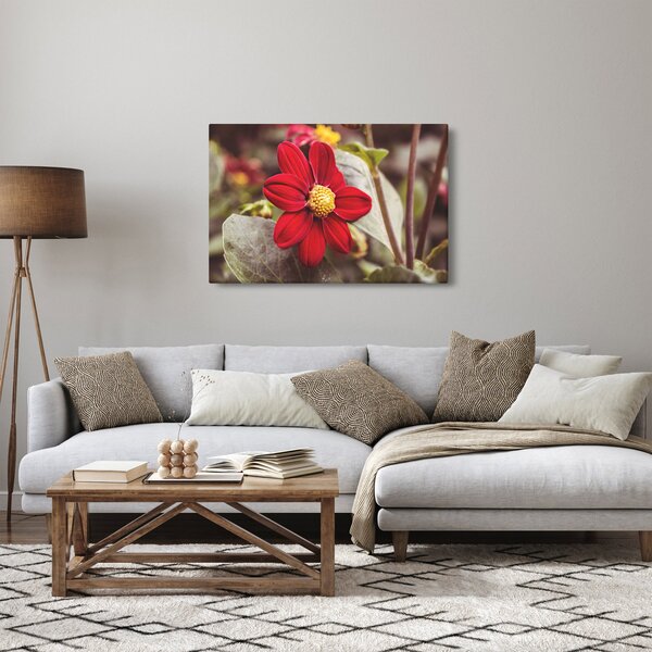Obraz kvetiny (90x60 cm)