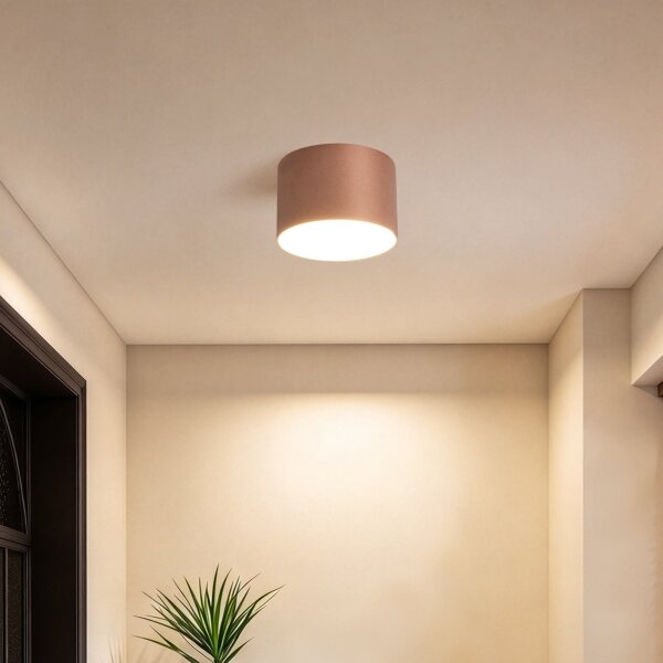 BRILAGI - Kúpeľňové stropné svietidlo FORIS LED/9W/230V priemer 9 cm bronzové IP44