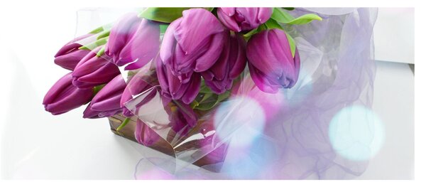 Obraz - kytice tulipánov (120x50 cm)