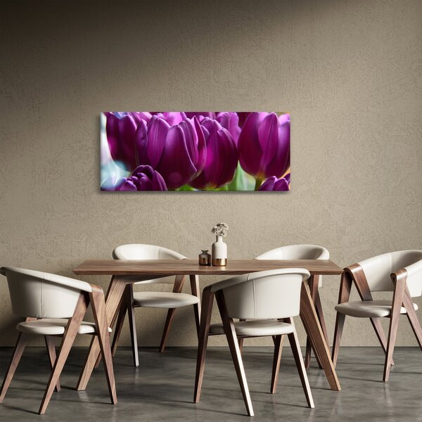 Obraz tulipánov (120x50 cm)