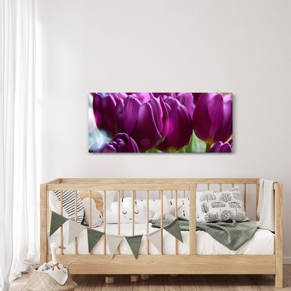 Obraz tulipánov (120x50 cm)