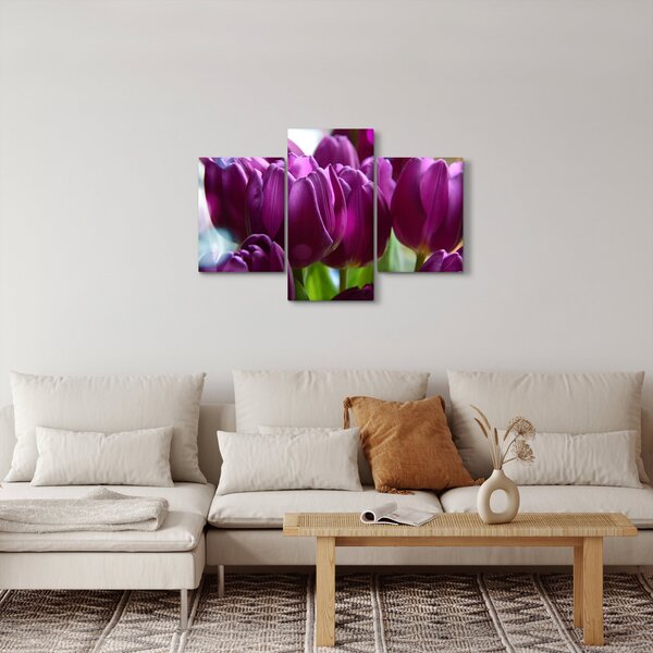 Obraz tulipánov (90x60 cm)