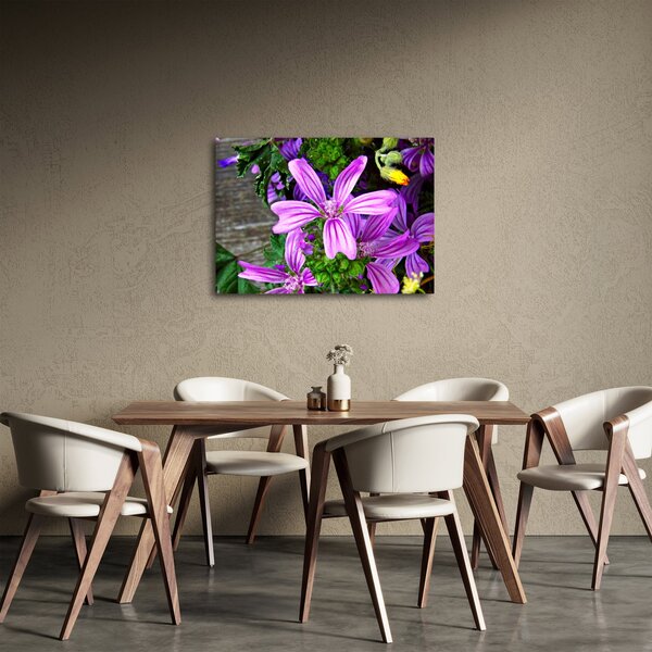 Obraz - lúčne kvety (70x50 cm)