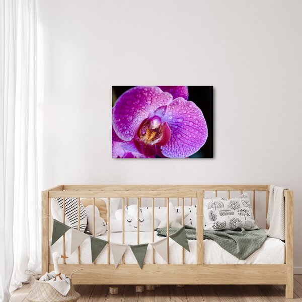 Detailný obraz kvetu orchidey (70x50 cm)