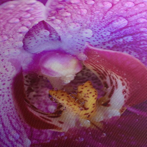 Detailný obraz kvetu orchidey (120x50 cm)
