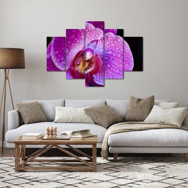 Detailný obraz kvetu orchidey (150x105 cm)