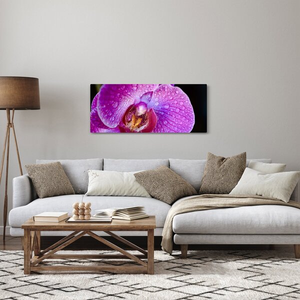 Detailný obraz kvetu orchidey (120x50 cm)