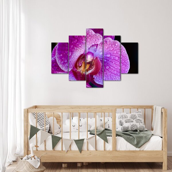 Detailný obraz kvetu orchidey (150x105 cm)