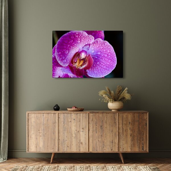 Detailný obraz kvetu orchidey (90x60 cm)