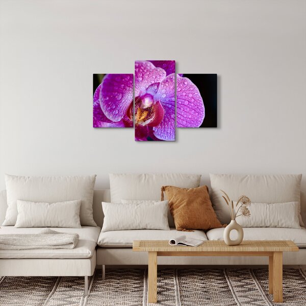 Detailný obraz kvetu orchidey (90x60 cm)