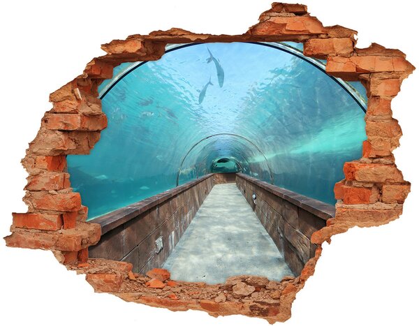 Diera 3D fototapeta nálepka Akvária tunel nd-c-82197217