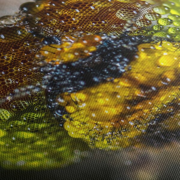 Detailný obraz očí hmyzu (s hodinami) (90x30 cm)