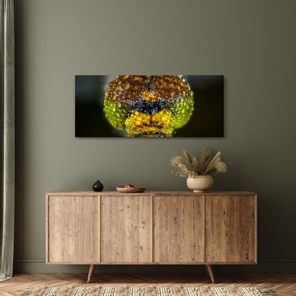 Detailný obraz očí hmyzu (120x50 cm)