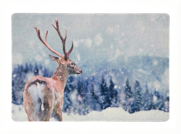 Vianočná rohožka WILD IN WHITE 38x58 cm - viac variantov Varianta: Veverička