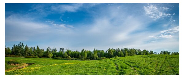 Obraz lúky (120x50 cm)