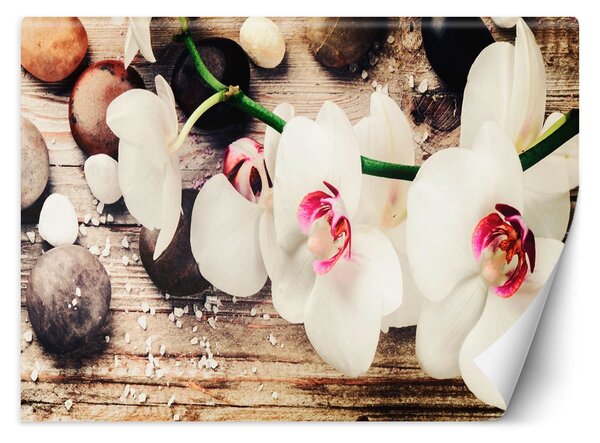 Fototapeta Farebné zenové orchidey Materiál: Vliesová, Rozmery: 200 x 140 cm