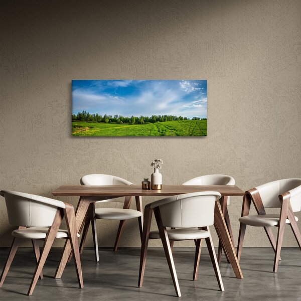 Obraz lúky (120x50 cm)
