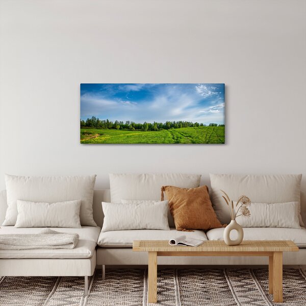 Obraz lúky (120x50 cm)