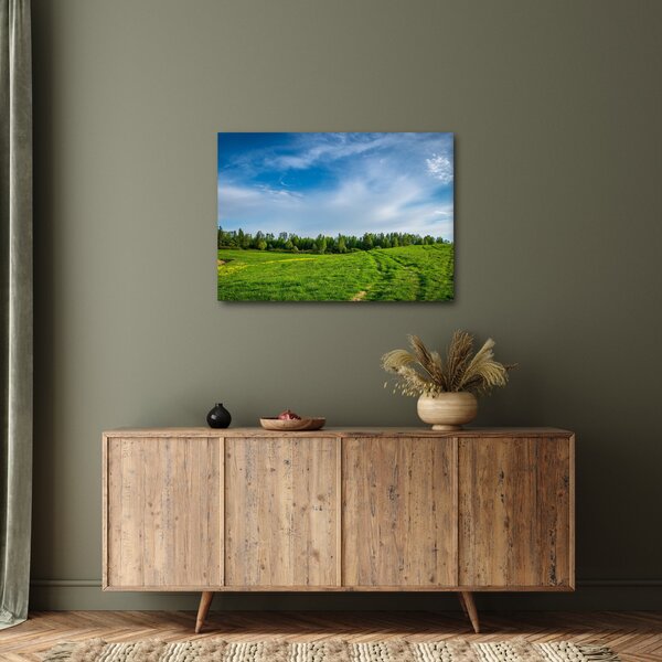 Obraz lúky (70x50 cm)
